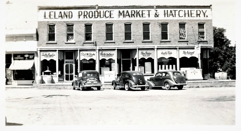 Leland Hatchery, c. 1930s, Main St. where Casey’s now stands